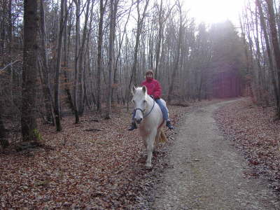 Bouxweiler 05 6