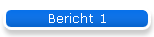 Bericht 1