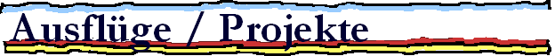 Ausflge / Projekte